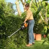 Taille-haie à batterie - STIHL - HSA 60 – NUE - AK SYSTEME