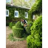 Taille-haie - STIHL - HS 56 C-E - 600mm