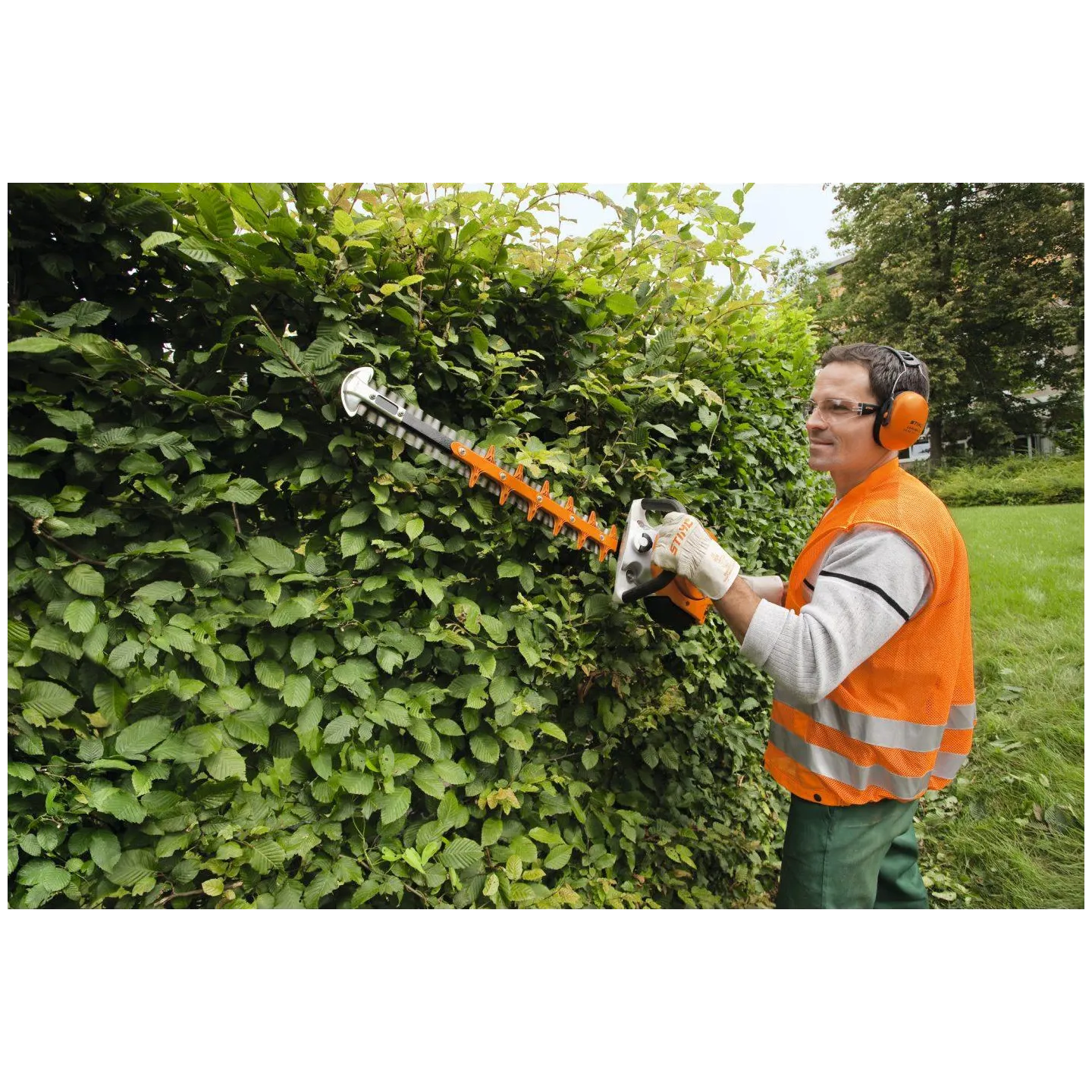 Taille-haie - STIHL - HS 56 C-E - 600mm