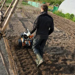 Motobineuse - STIHL - MH 585