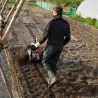 Motobineuse - STIHL - MH 585