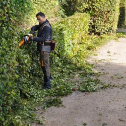 Taille-haie à batterie - STIHL - HSA 130R - 60cm - AP SYSTEME