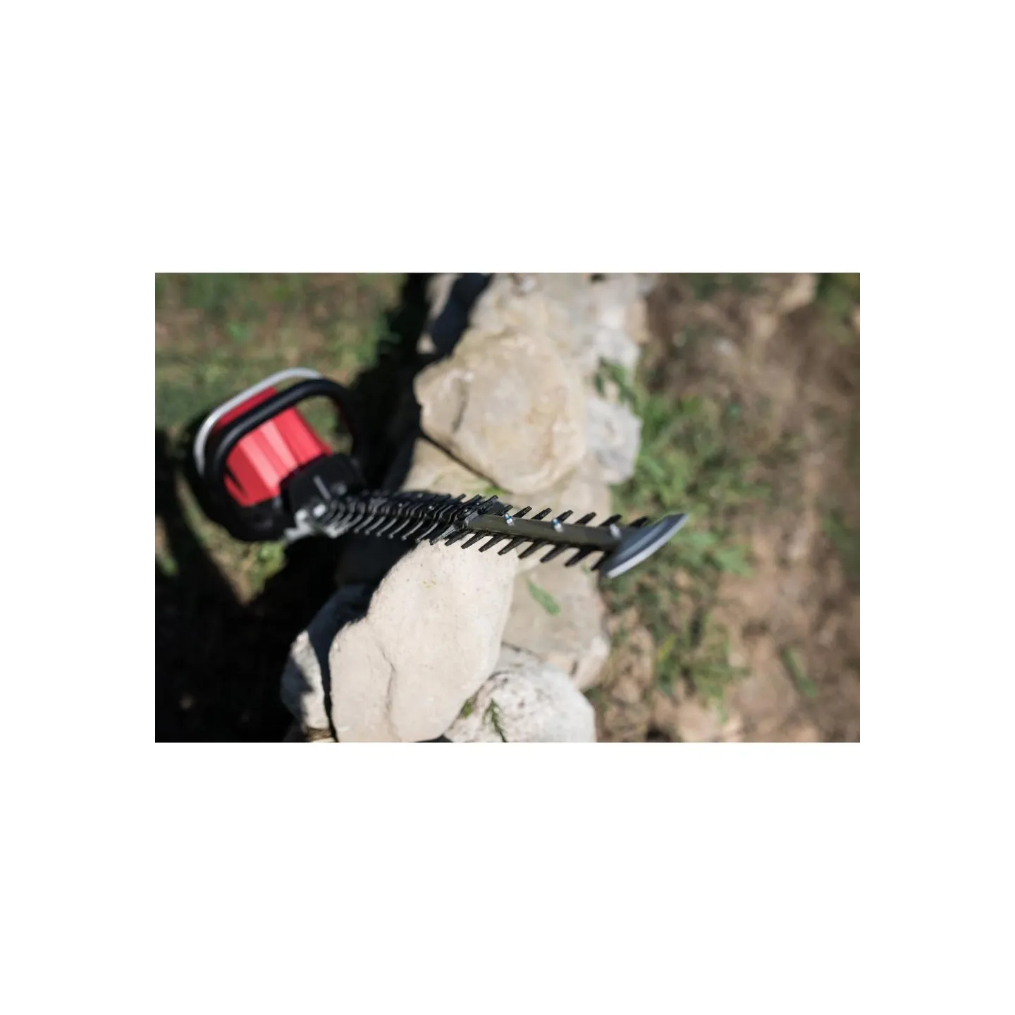 Taille Haie à Batterie - HONDA - HHH36AXBE (machine nue)