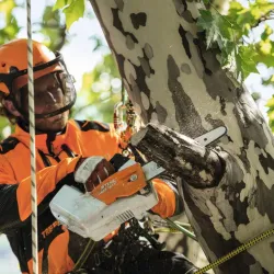 Tronçonneuse à Batterie STIHL MSA 161 - 30CM - AP SYSTEM