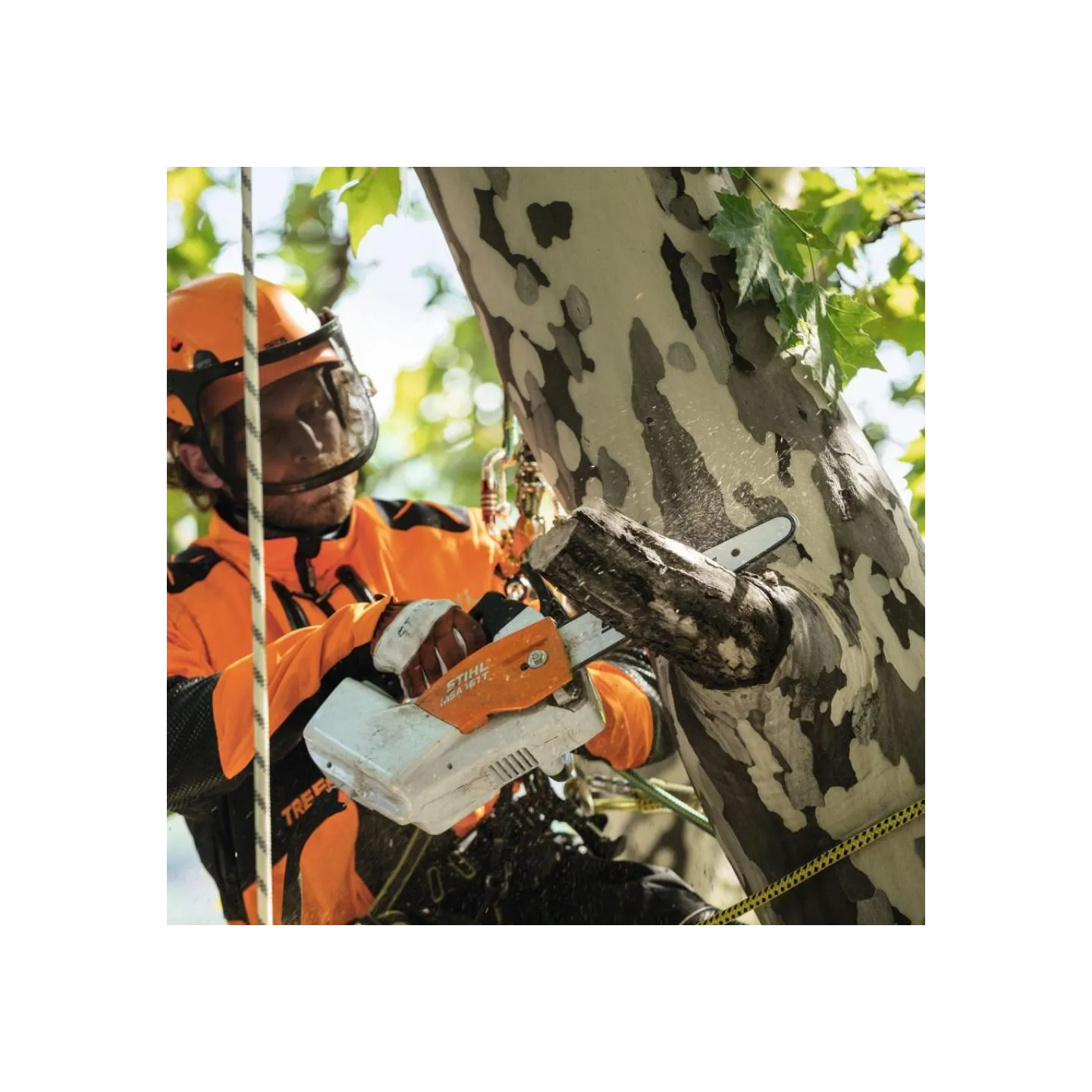 Tronçonneuse à Batterie STIHL MSA 161 - 30CM - AP SYSTEM