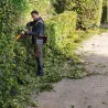 Taille-haie à batterie - STIHL - HSA 130R - 75cm - AP SYSTEME