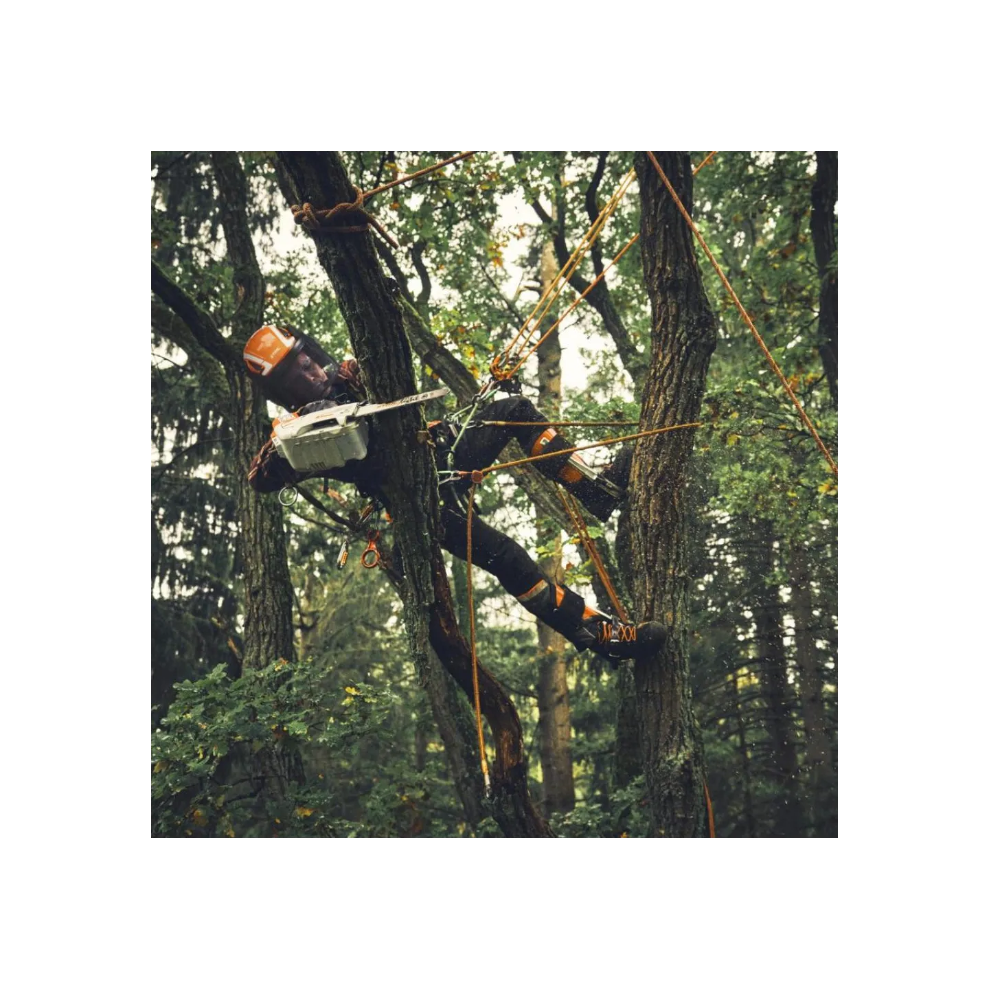 Tronçonneuse à Batterie STIHL MSA 190 - 30CM 3/8 - AP SYSTEM