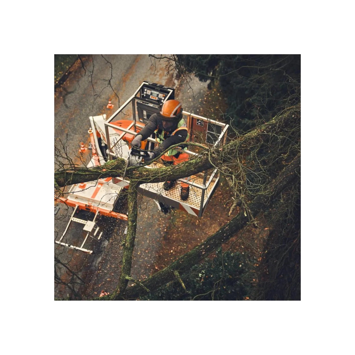 Tronçonneuse à Batterie STIHL MSA 190 - 30CM 3/8 - AP SYSTEM
