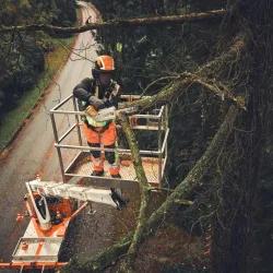 Tronçonneuse à Batterie STIHL MSA 190 - 30CM 3/8 - AP SYSTEM