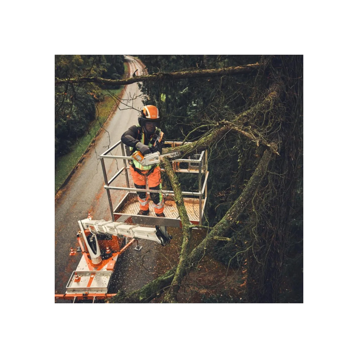 Tronçonneuse à Batterie STIHL MSA 190 - 30CM 3/8 - AP SYSTEM