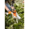 Scie de jardin à batterie STIHL GTA 26 - PACK 2 - AS SYSTEM