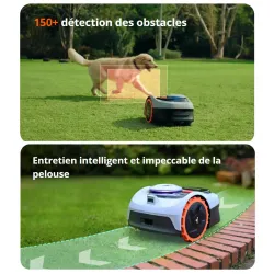 ROBOT DE TONTE GPS - I108 - SEGWAY NAVIMOW - 800M2