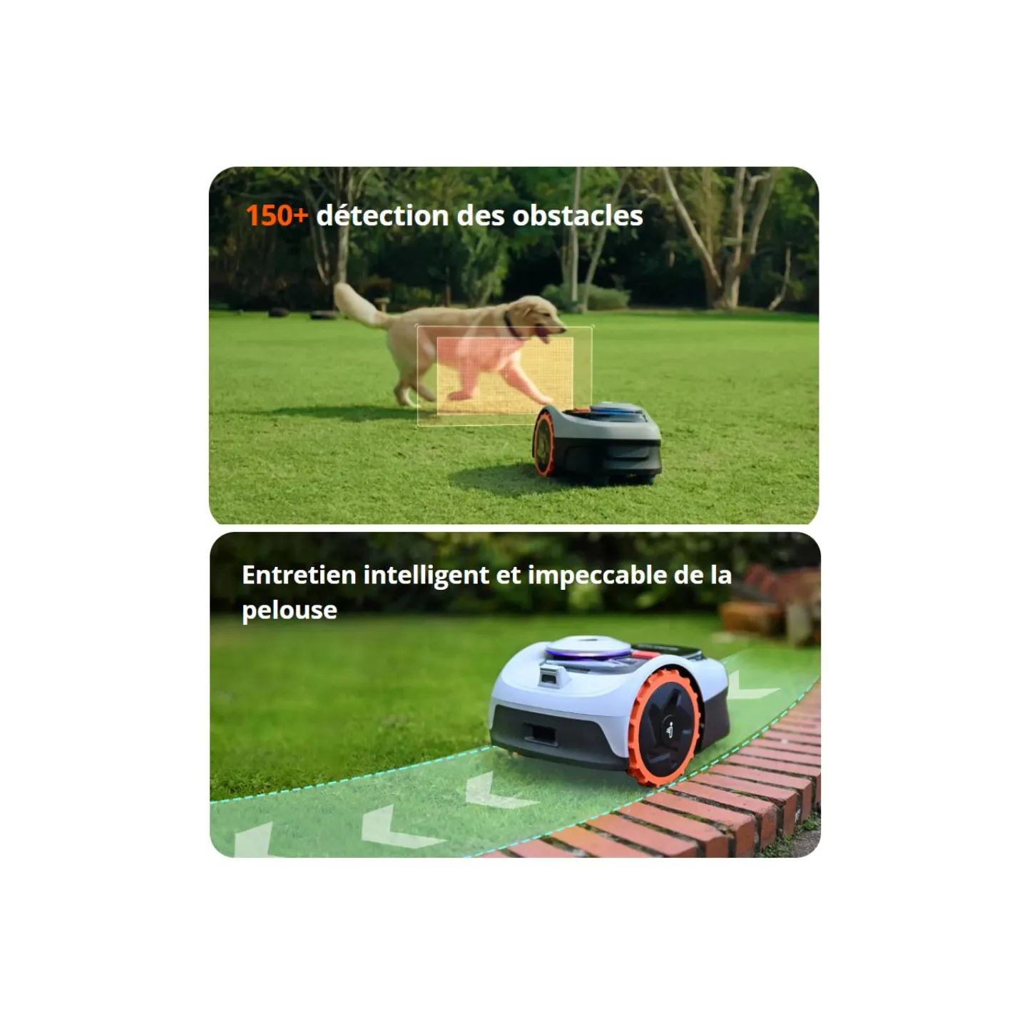 ROBOT DE TONTE GPS - I108 - SEGWAY NAVIMOW - 800M2
