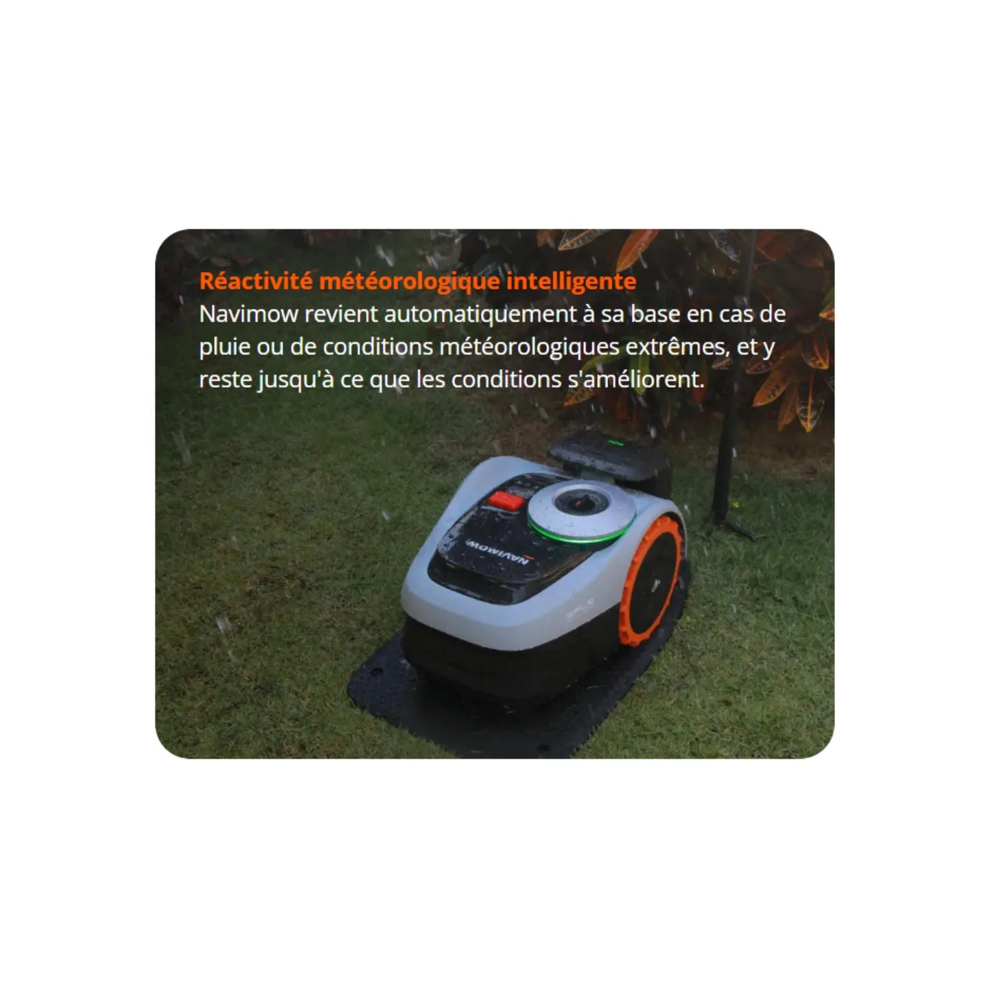 ROBOT DE TONTE GPS - I108 - SEGWAY NAVIMOW - 800M2