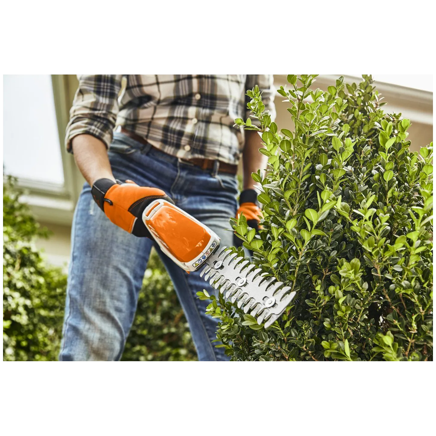Cisaille à arbustes et à gazon - STIHL - HSA 26 - NUE - AS SYSTEME