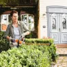 Taille-haie à batterie intégré - STIHL - HSA 45 – 50 cm-  AI SYSTEME