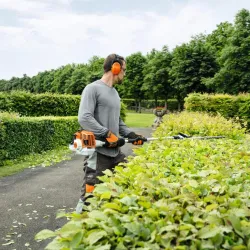 Taille-haies sur perche tube court - STIHL - HL92KC/500mm