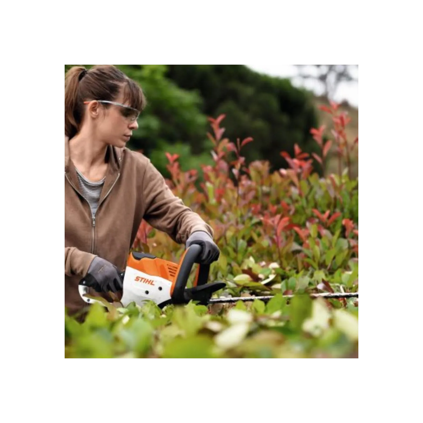 Taille-haie à batterie - STIHL - HSA 50 – NUE - AK SYSTEME