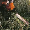 Taille-haie - STIHL - HS45/600mm