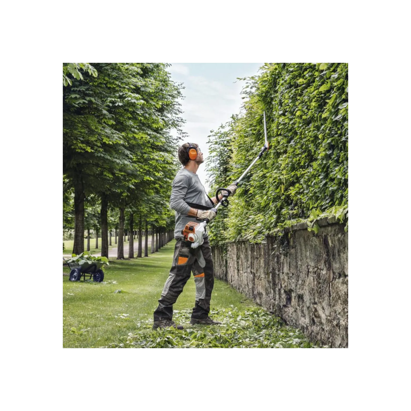 Taille-haies sur perche - STIHL - HL94C/600mm